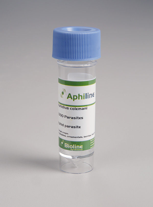 Aphiline c Aphidius cole mani 1000/30ml Vial - Biological Control